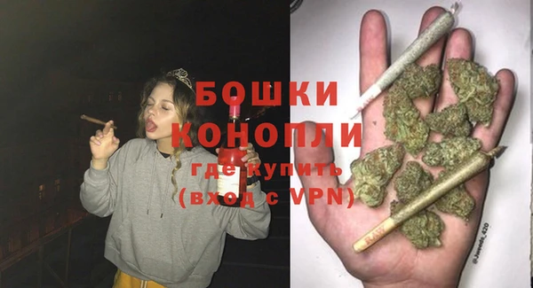 шишки Богородицк