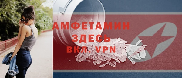 шишки Богородицк