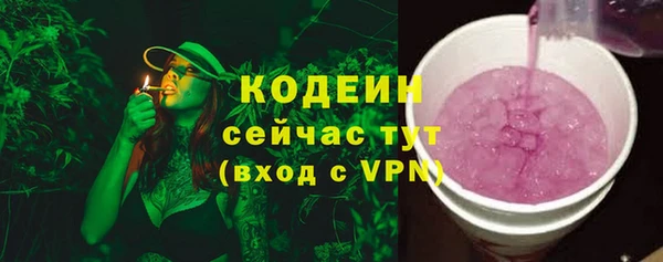 шишки Богородицк