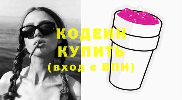 шишки Богородицк