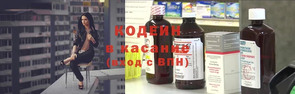 шишки Богородицк