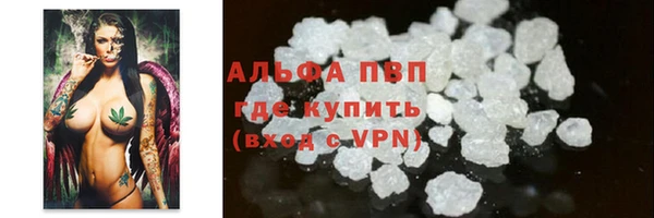 шишки Богородицк