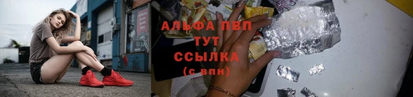 шишки Богородицк
