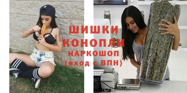 шишки Богородицк