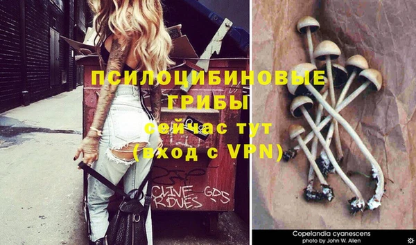 ALPHA-PVP Богданович