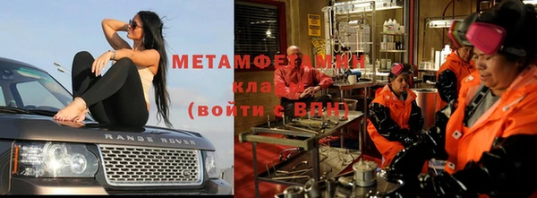 шишки Богородицк
